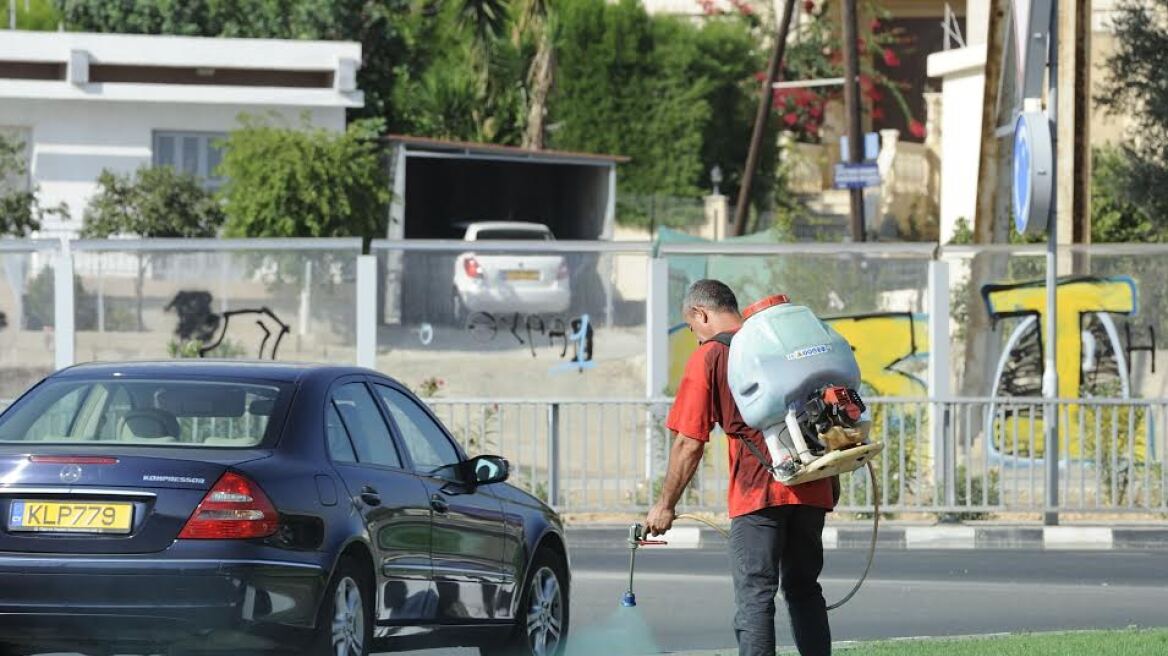 Κύπρος: Έβαψαν το γρασίδι με πράσινη μπογιά... για να περάσει ο υπουργός!